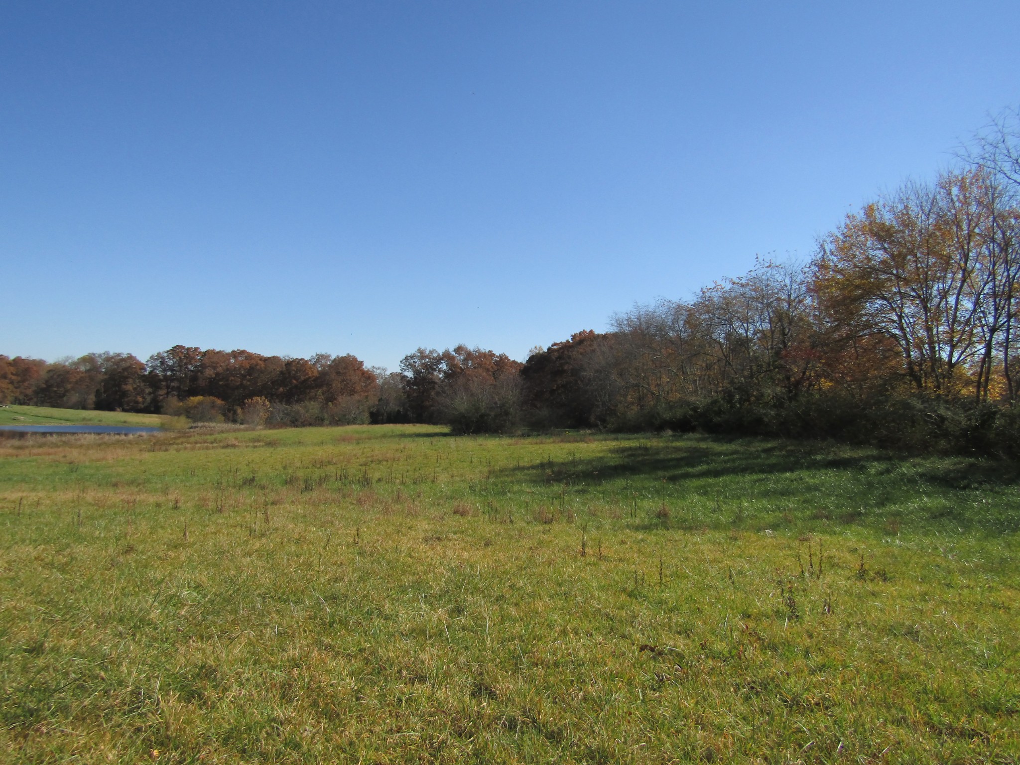 0 Hack Beaty Road Grimsley, TN 38565 - Photo 14 of 31 Gallery Image 14