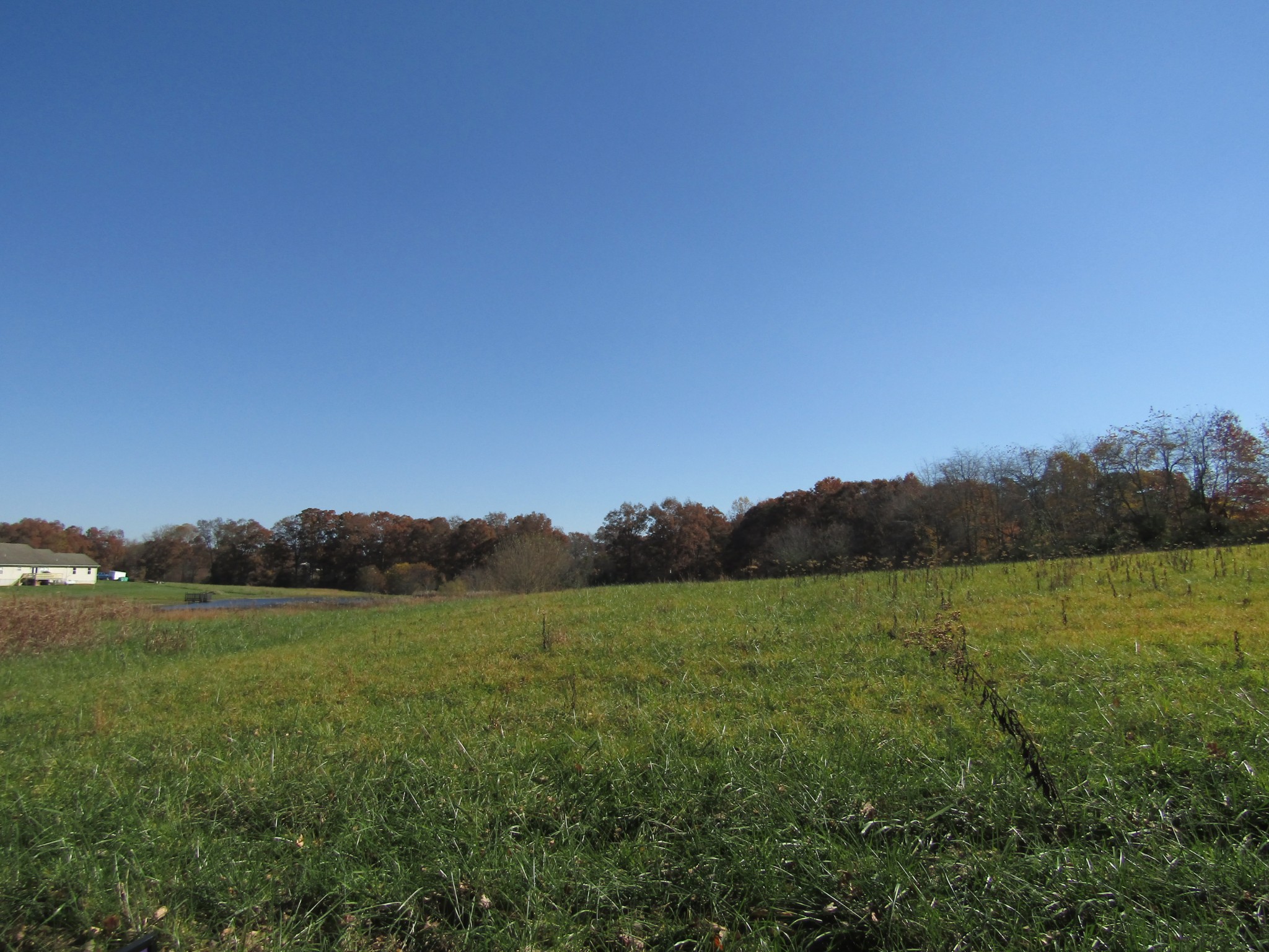 0 Hack Beaty Road Grimsley, TN 38565 - Photo 16 of 31 Gallery Image 16