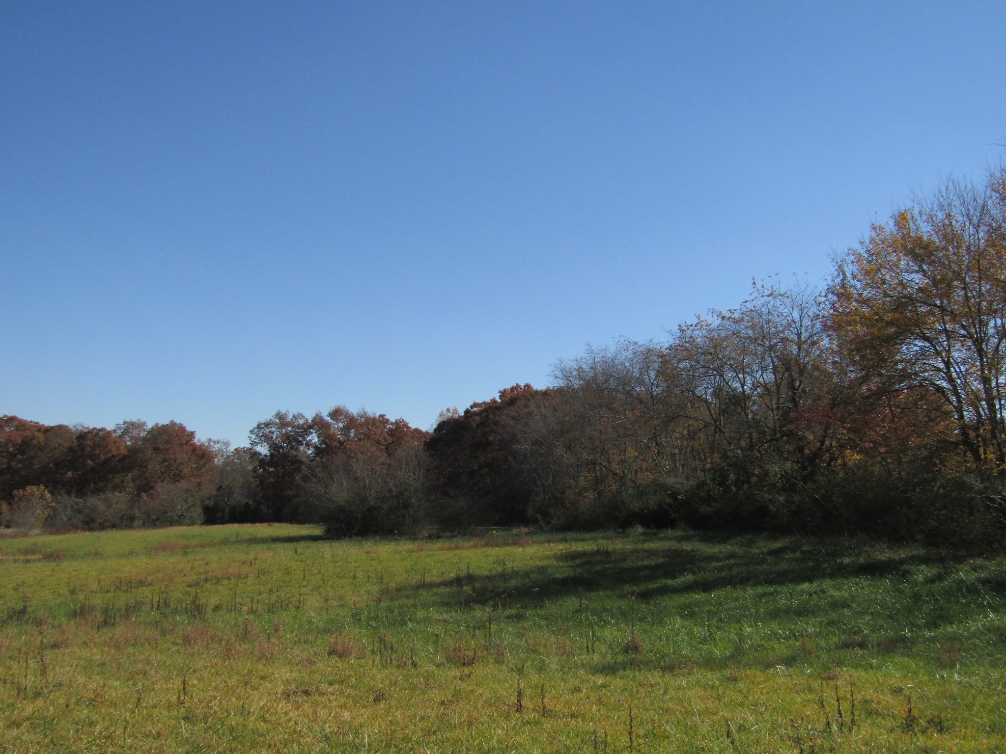 0 Hack Beaty Road Grimsley, TN 38565 - Photo 17 of 31 Gallery Image 17