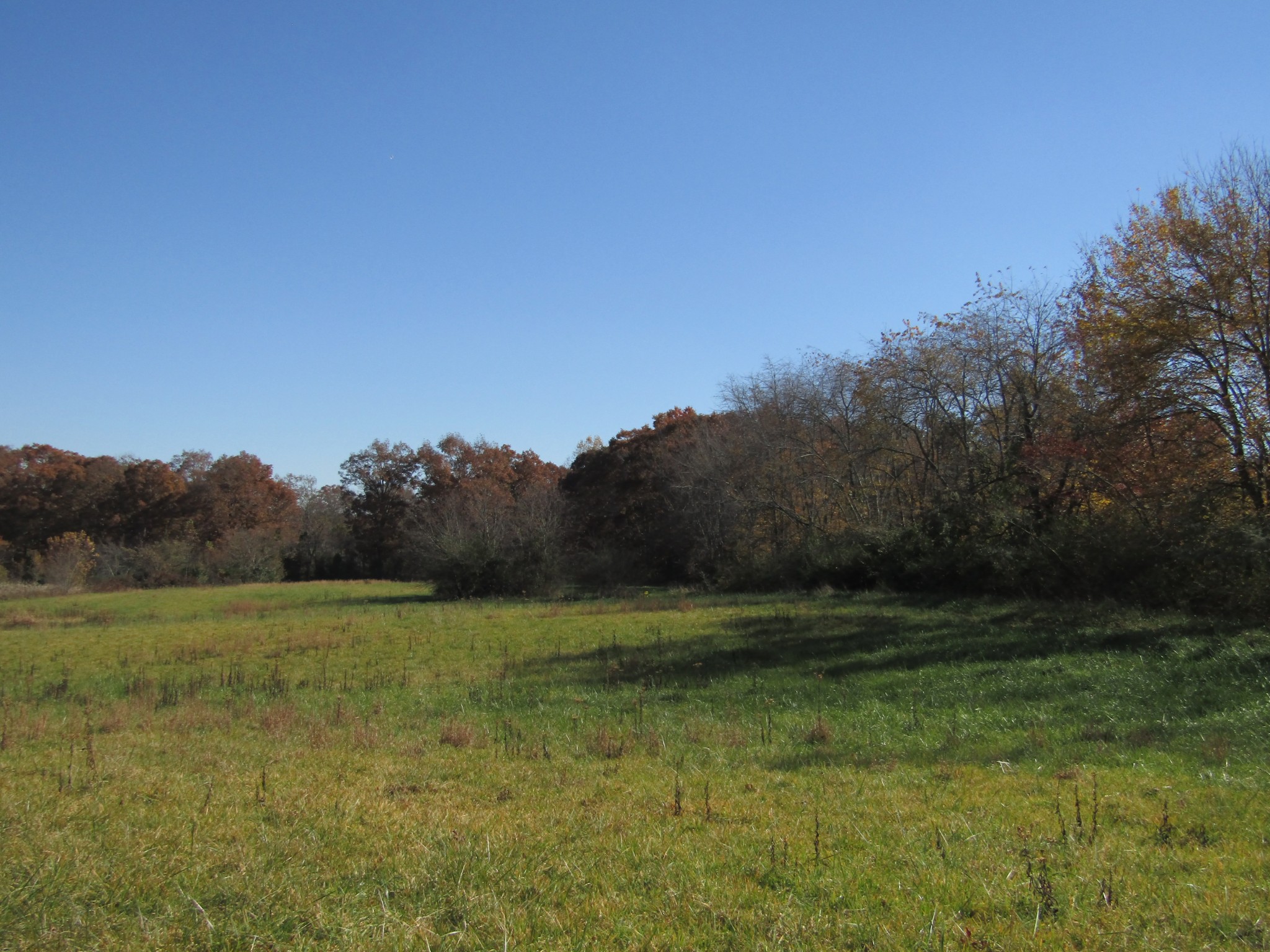 0 Hack Beaty Road Grimsley, TN 38565 - Photo 18 of 31 Gallery Image 18