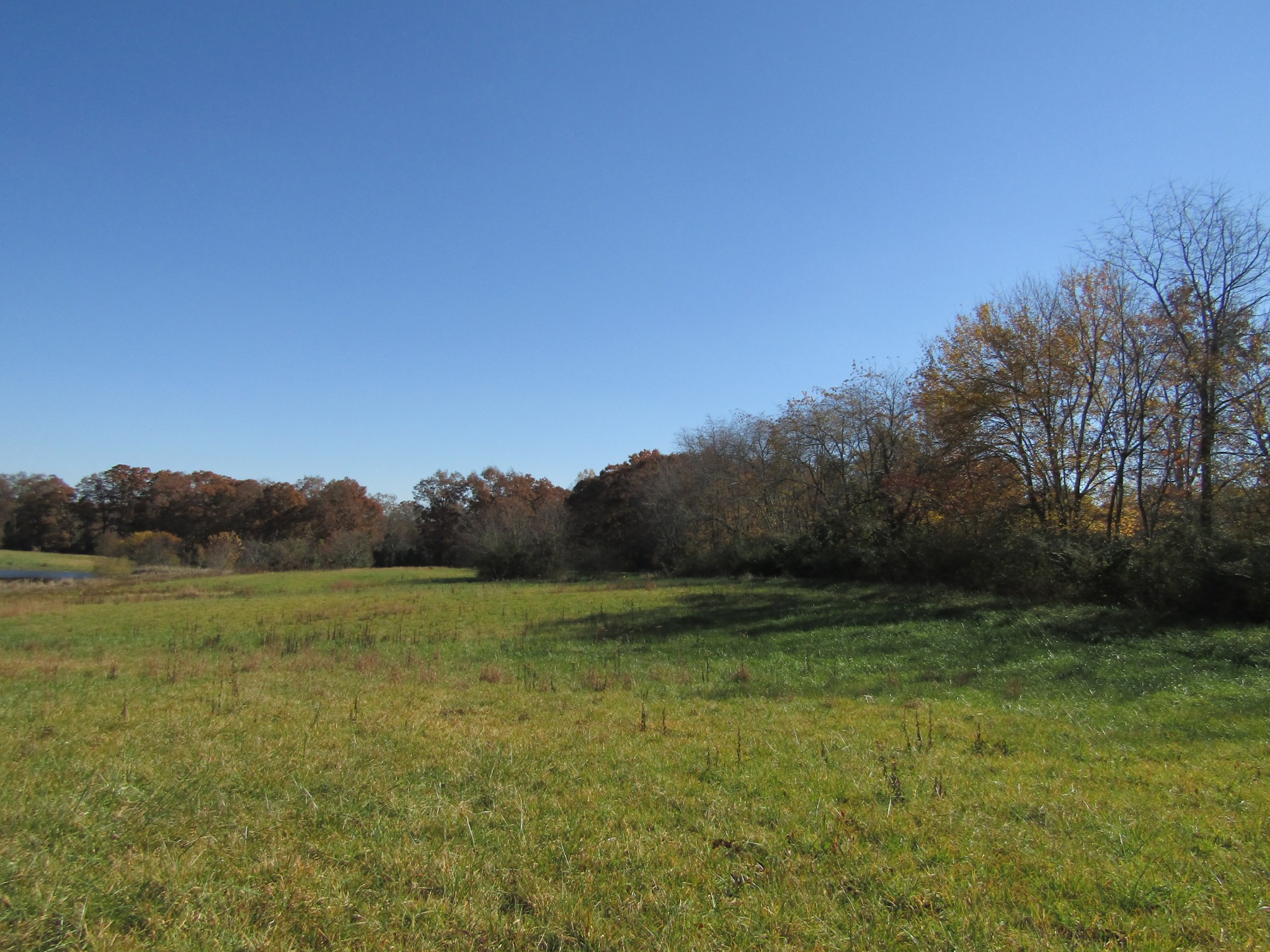 0 Hack Beaty Road Grimsley, TN 38565 - Photo 19 of 31 Gallery Image 19