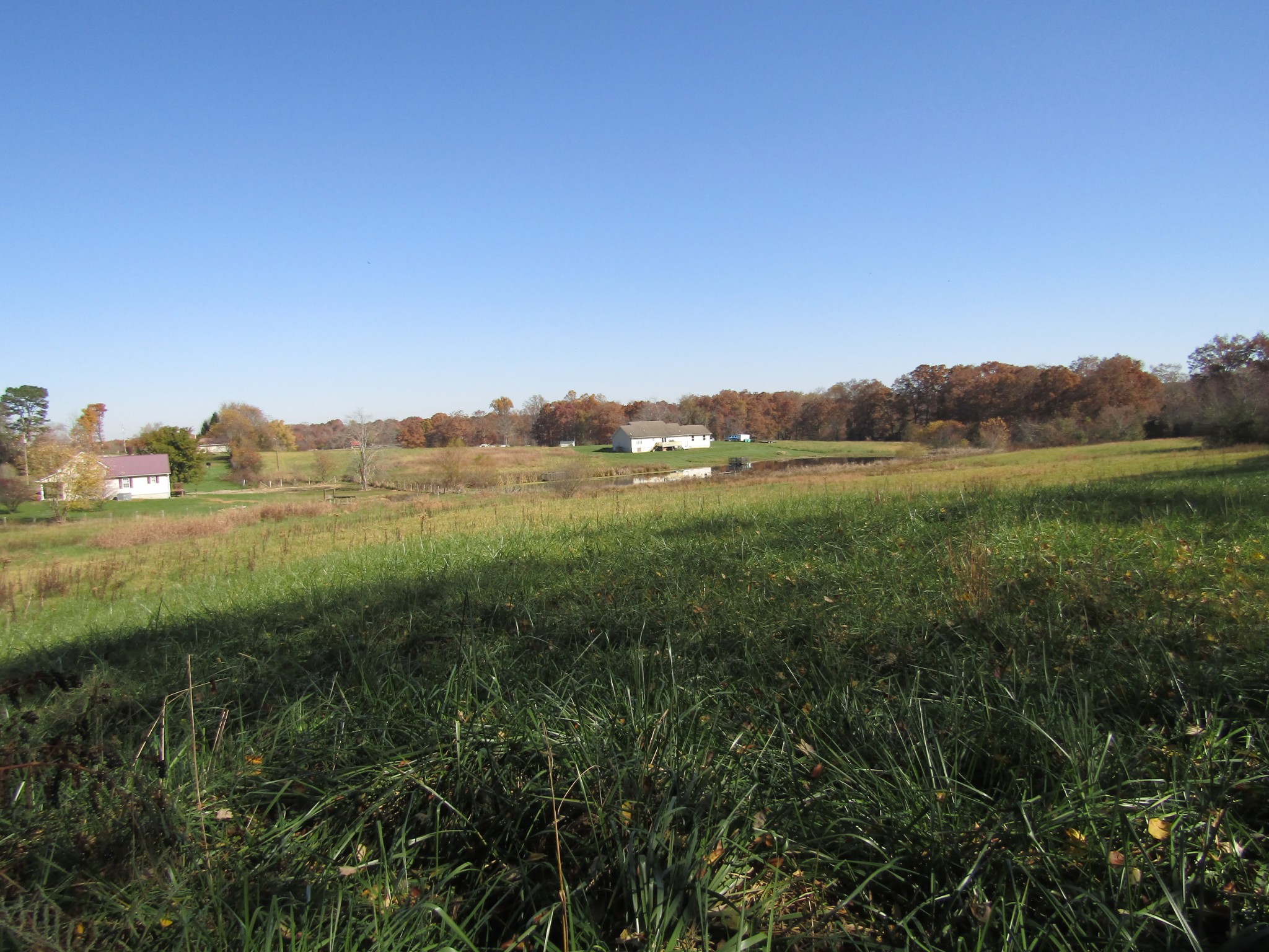 0 Hack Beaty Road Grimsley, TN 38565 - Photo 2 of 31 Gallery Image 2