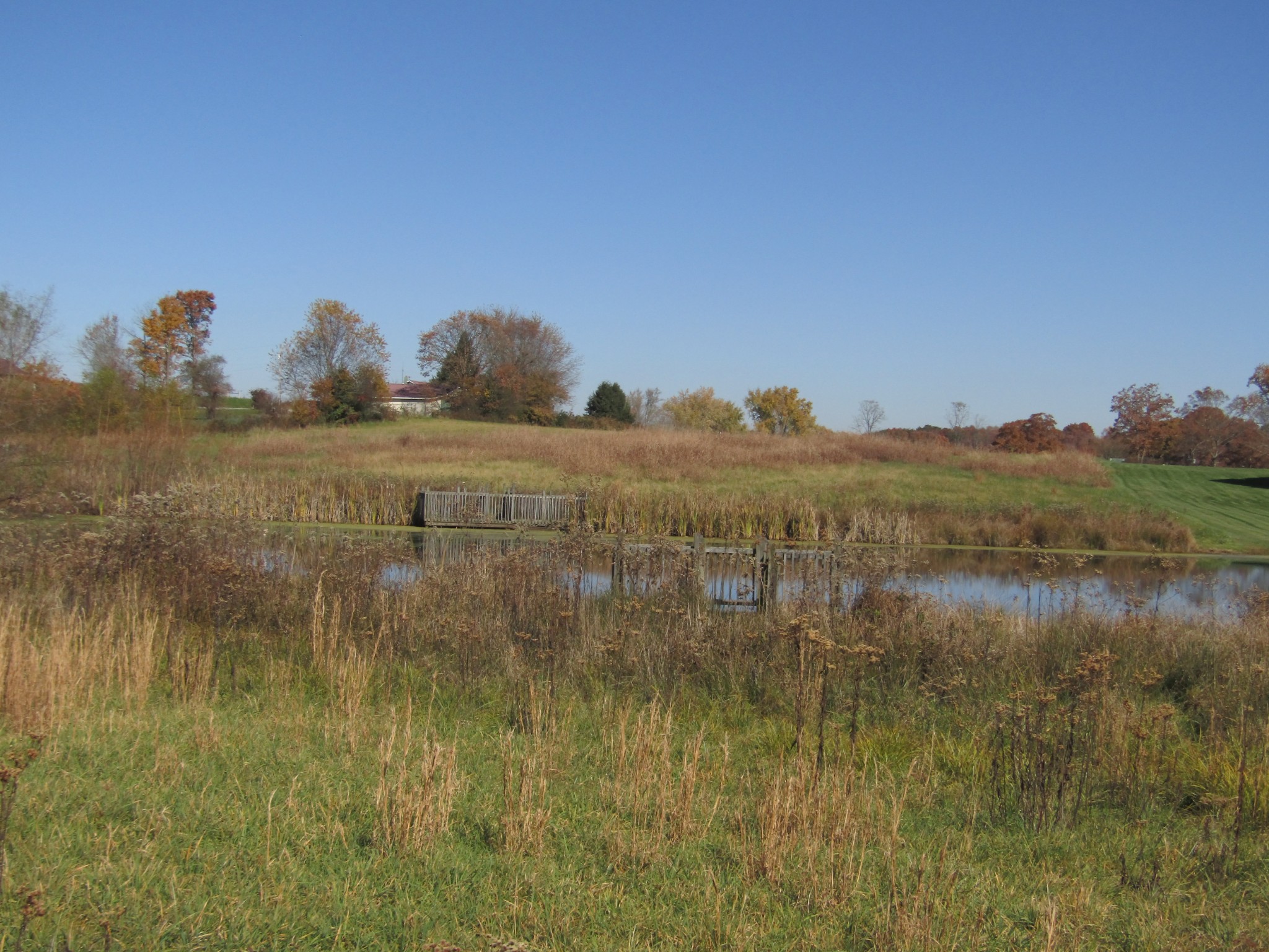 0 Hack Beaty Road Grimsley, TN 38565 - Photo 23 of 31 Gallery Image 23