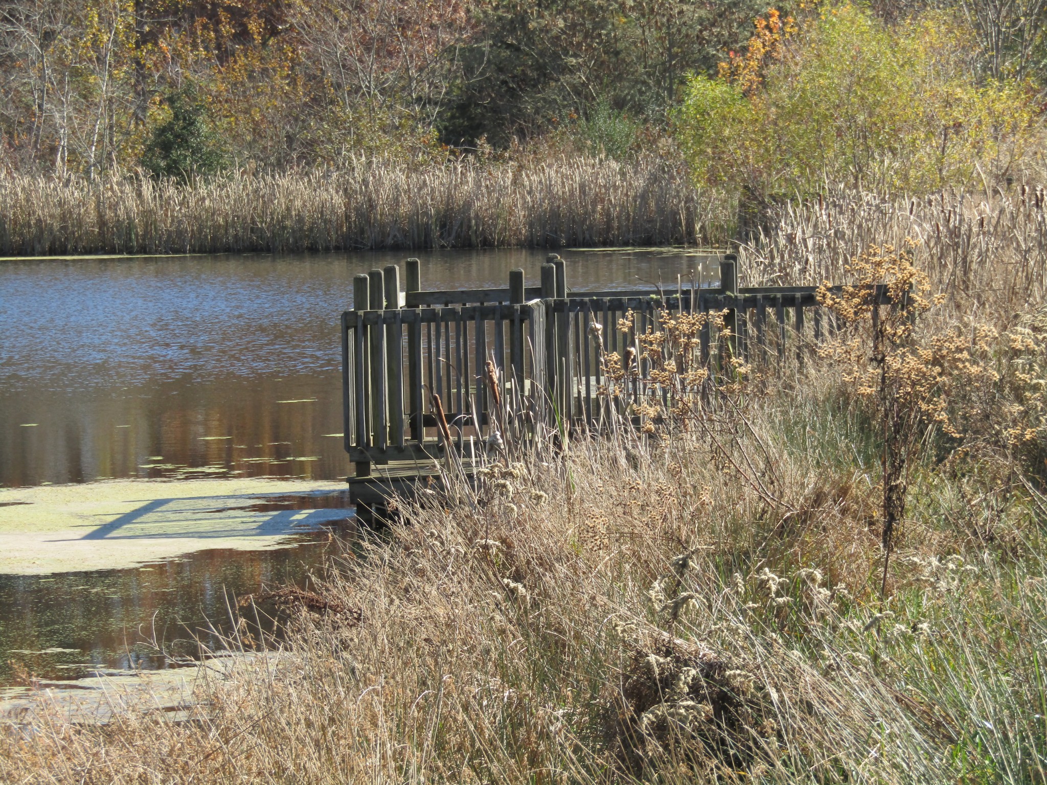 0 Hack Beaty Road Grimsley, TN 38565 - Photo 24 of 31 Gallery Image 24