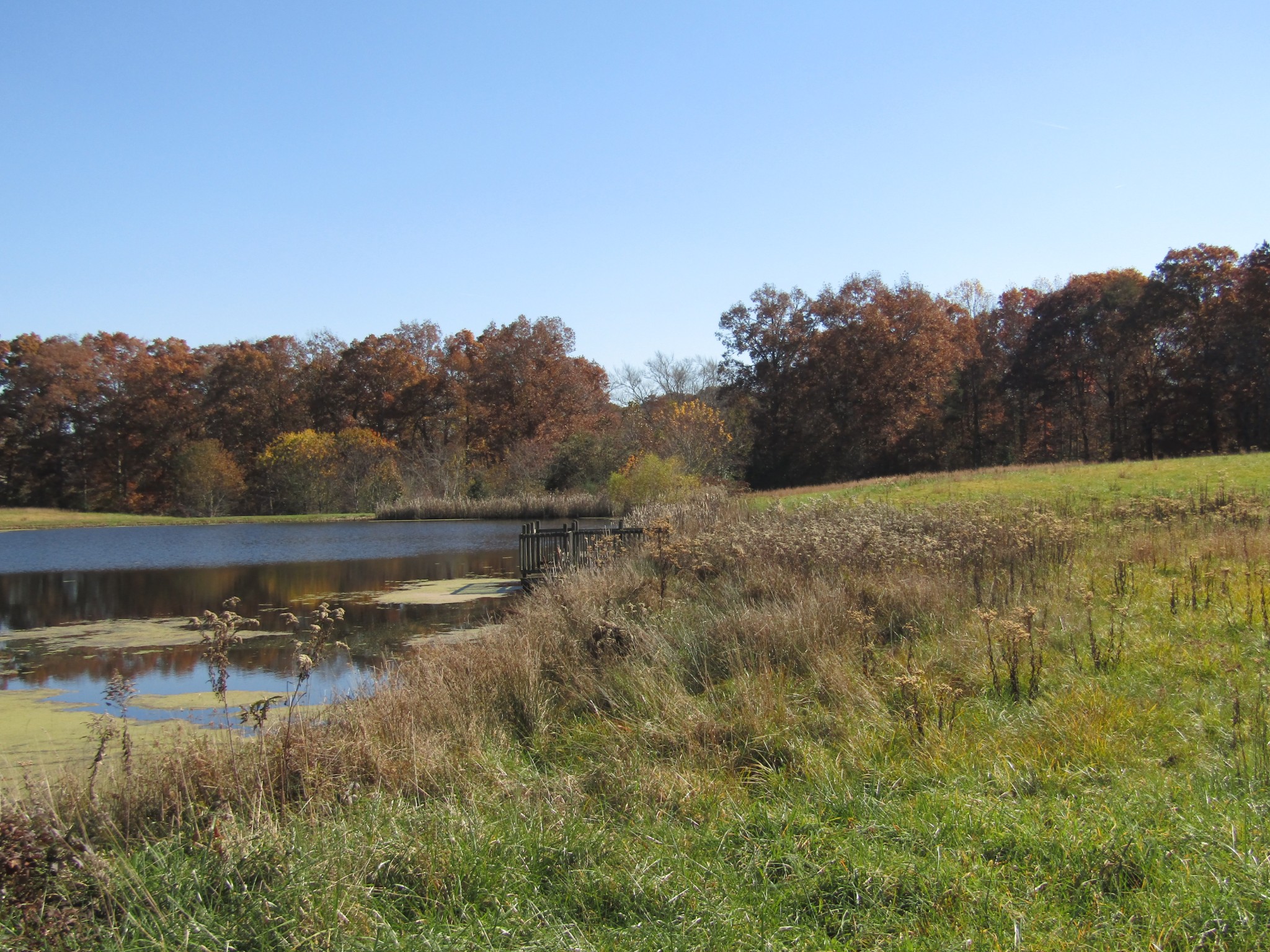 0 Hack Beaty Road Grimsley, TN 38565 - Photo 25 of 31 Gallery Image 25
