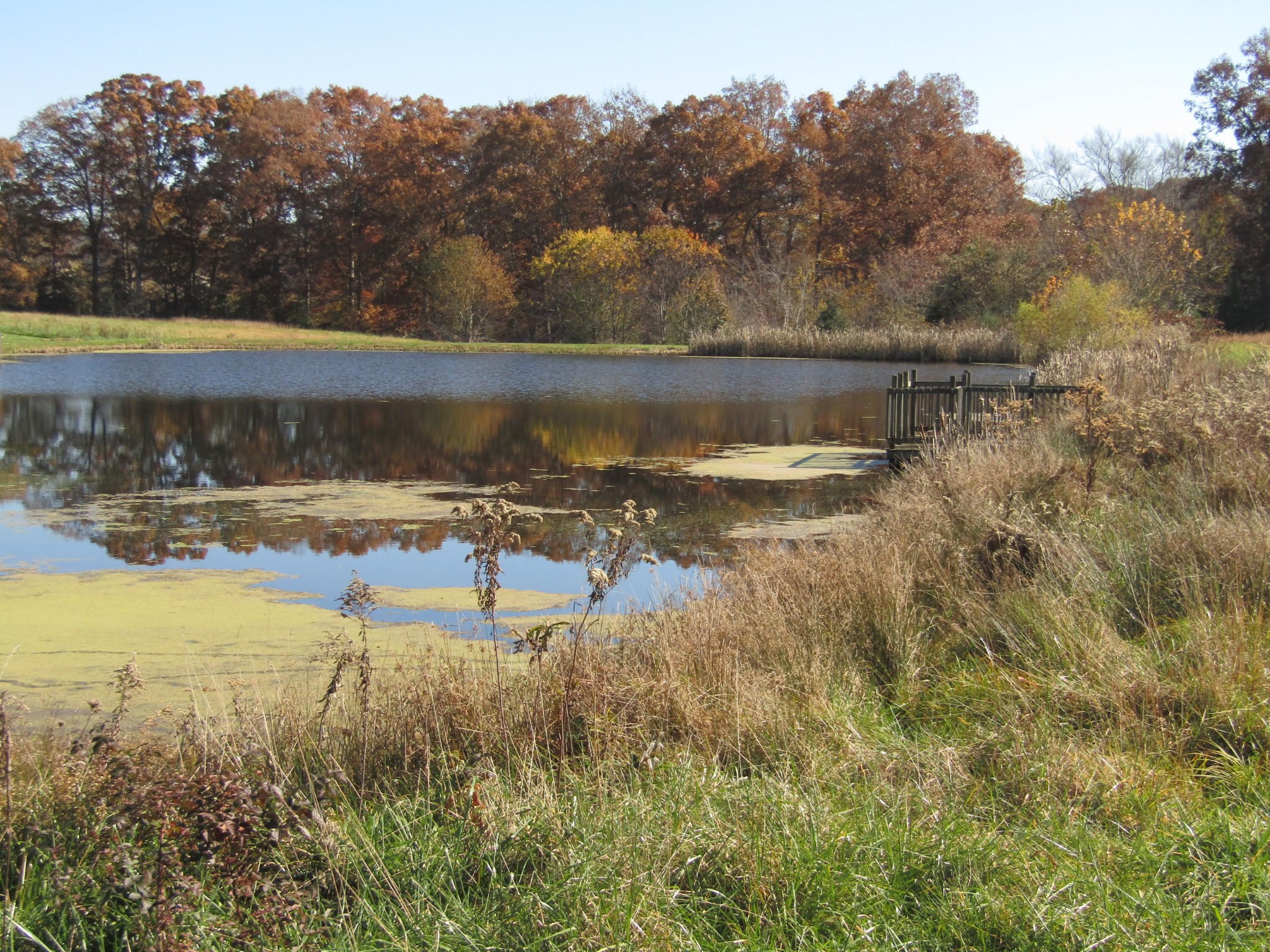 0 Hack Beaty Road Grimsley, TN 38565 - Photo 27 of 31 Gallery Image 27