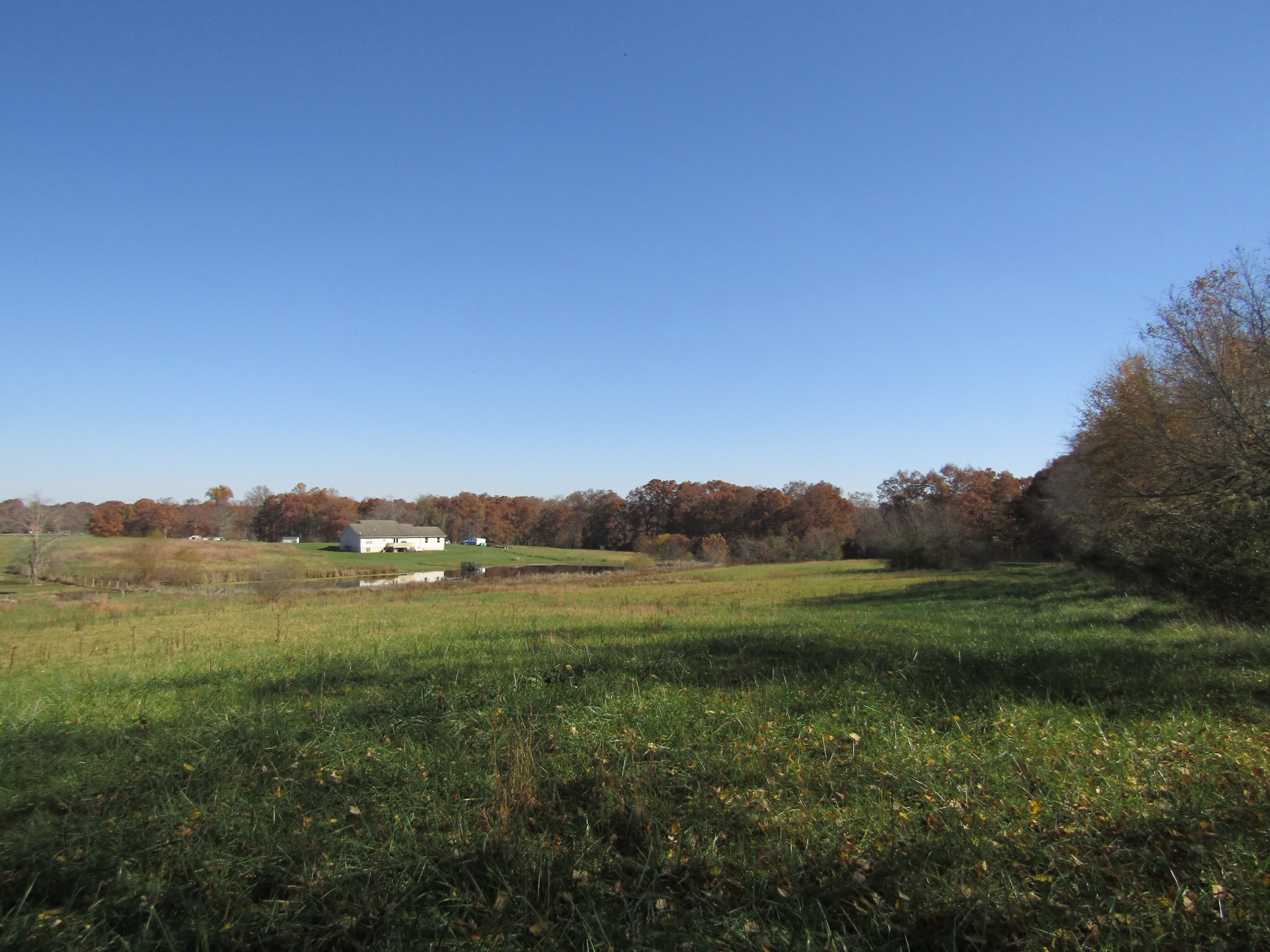 0 Hack Beaty Road Grimsley, TN 38565 - Photo 3 of 31 Gallery Image 3