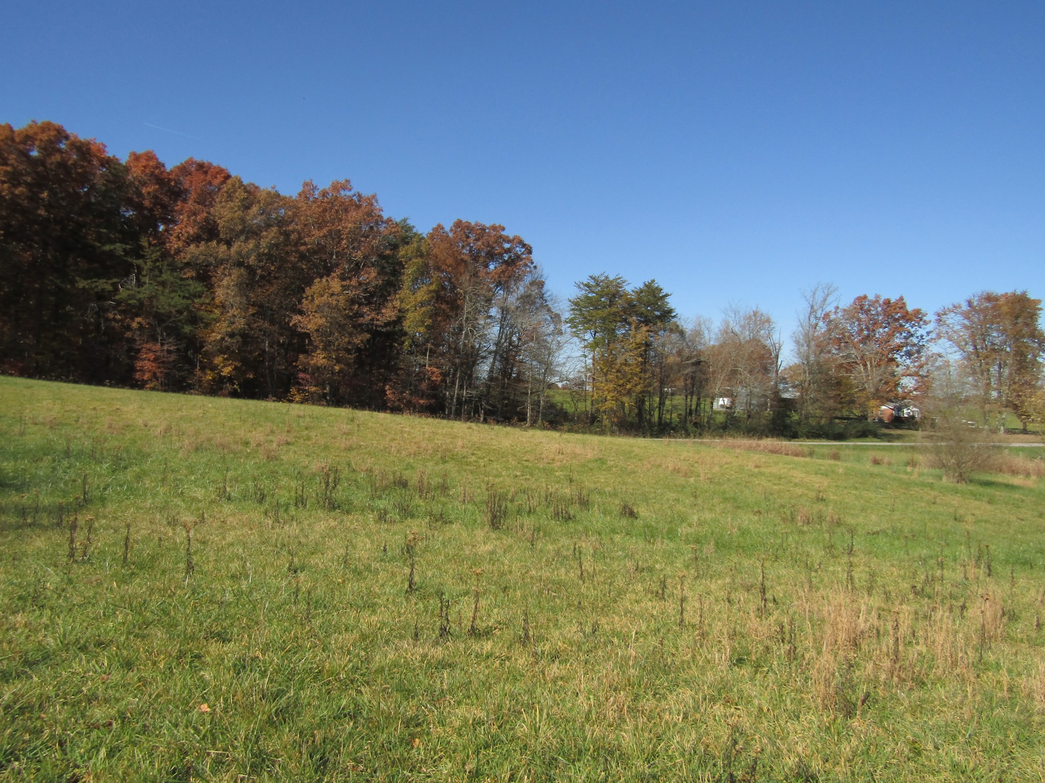 0 Hack Beaty Road Grimsley, TN 38565 - Photo 4 of 31 Gallery Image 4