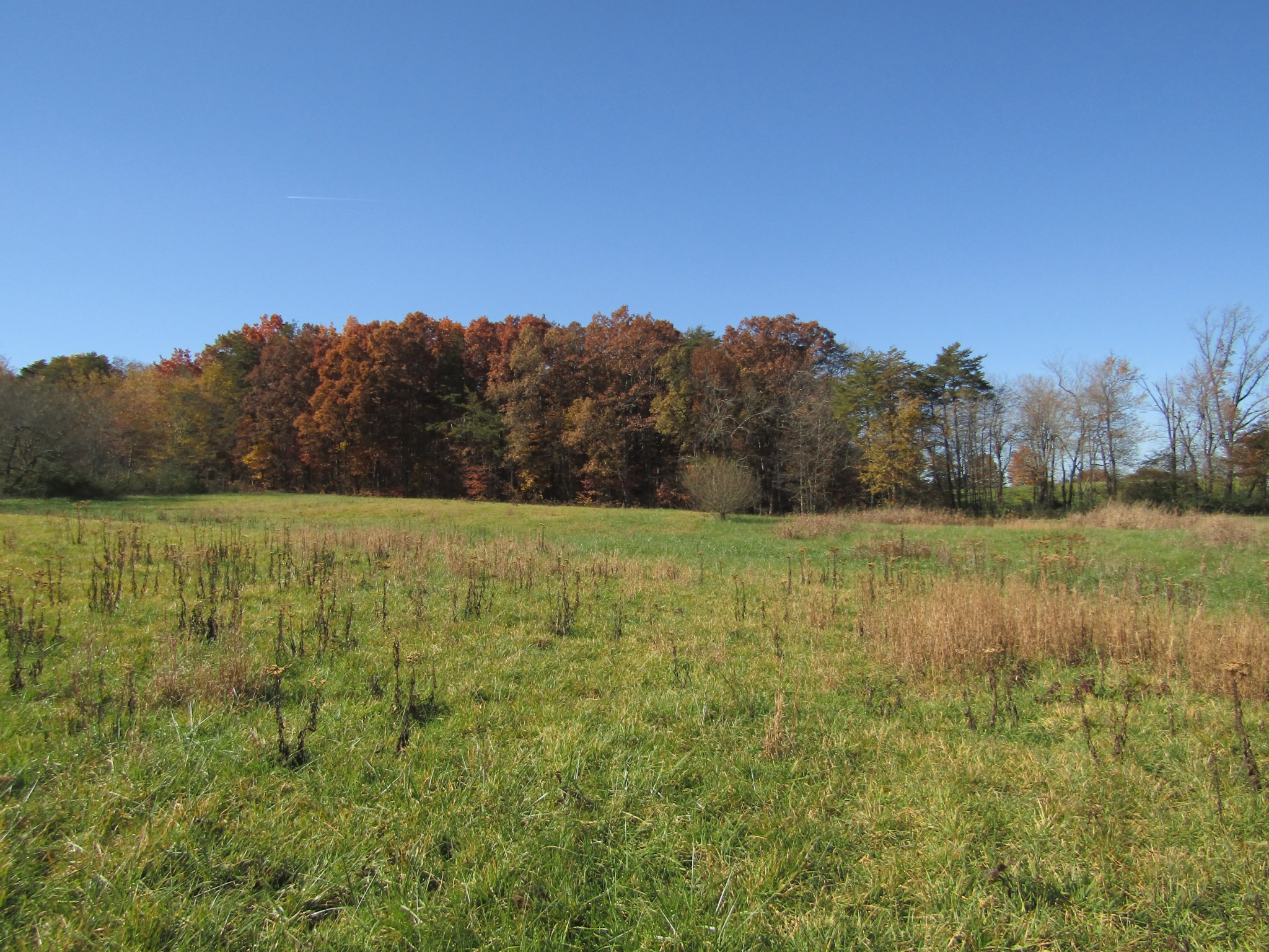 0 Hack Beaty Road Grimsley, TN 38565 - Photo 5 of 31 Gallery Image 5