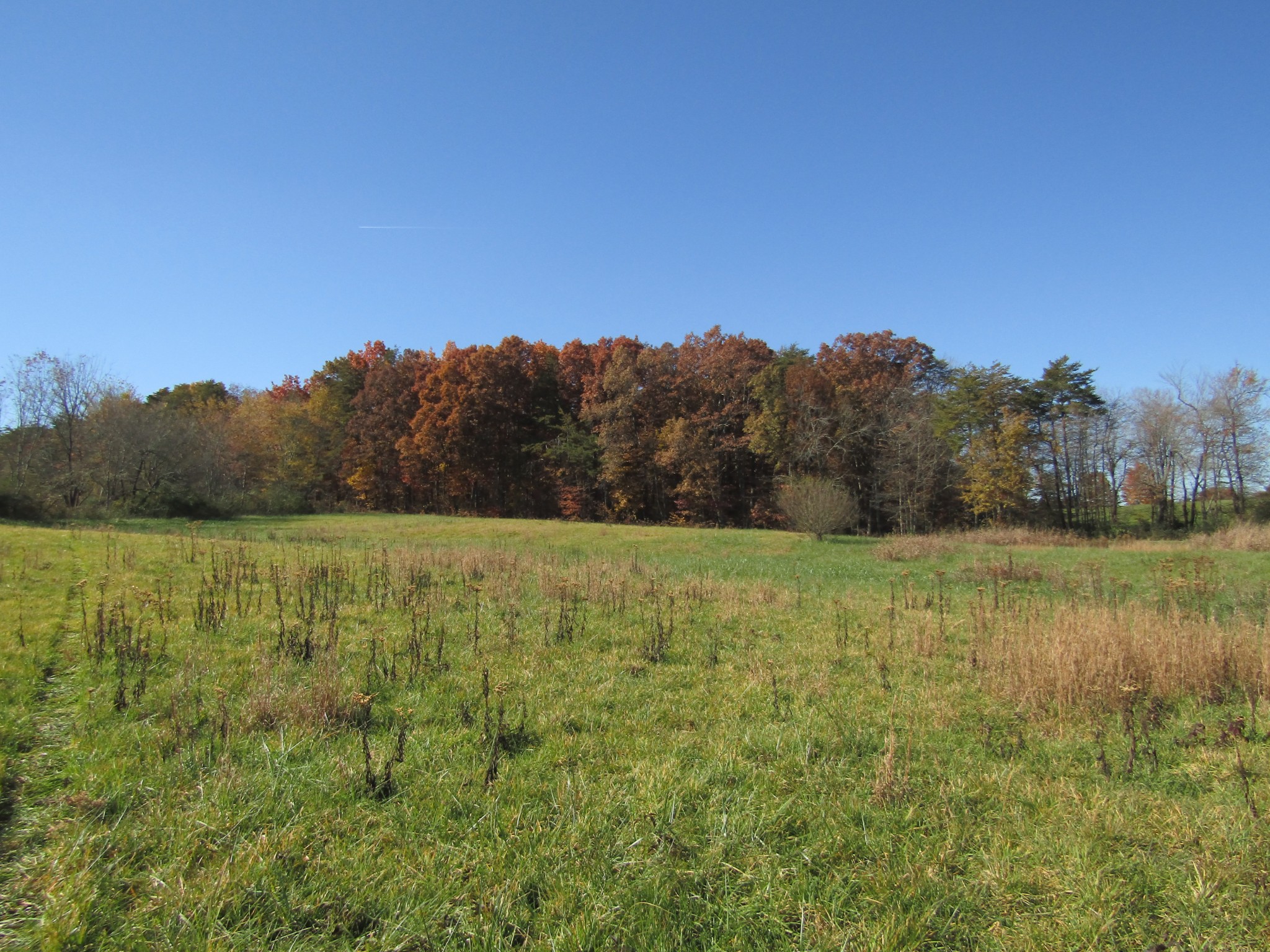 0 Hack Beaty Road Grimsley, TN 38565 - Photo 6 of 31 Gallery Image 6