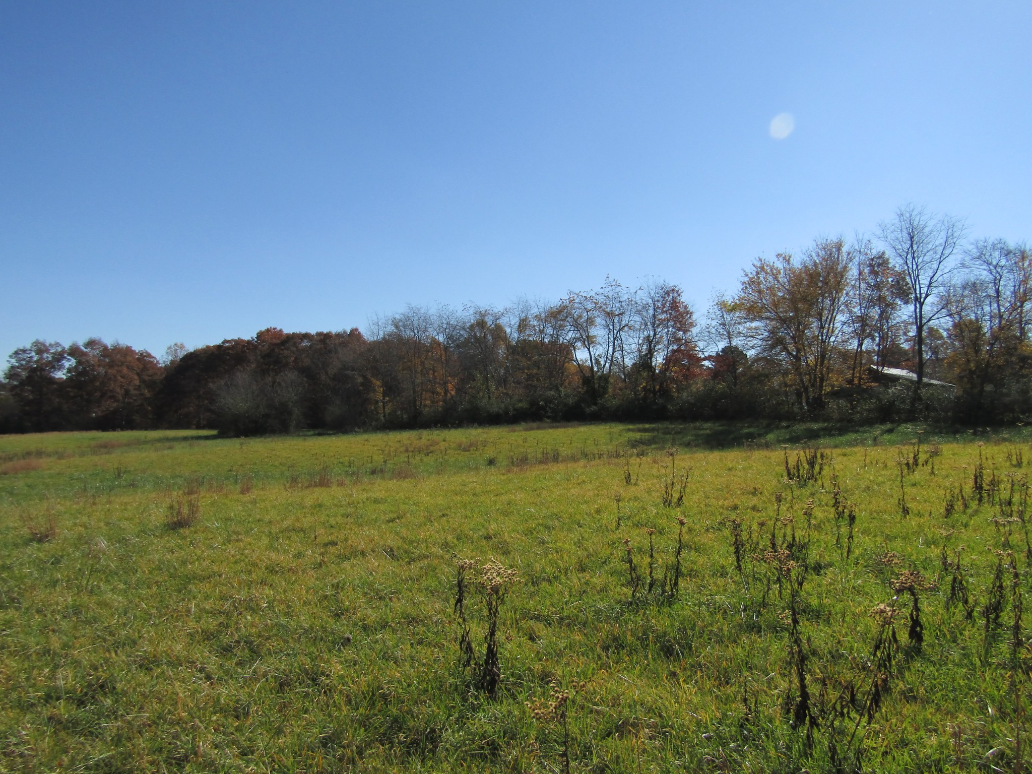 0 Hack Beaty Road Grimsley, TN 38565 - Photo 9 of 31 Gallery Image 9