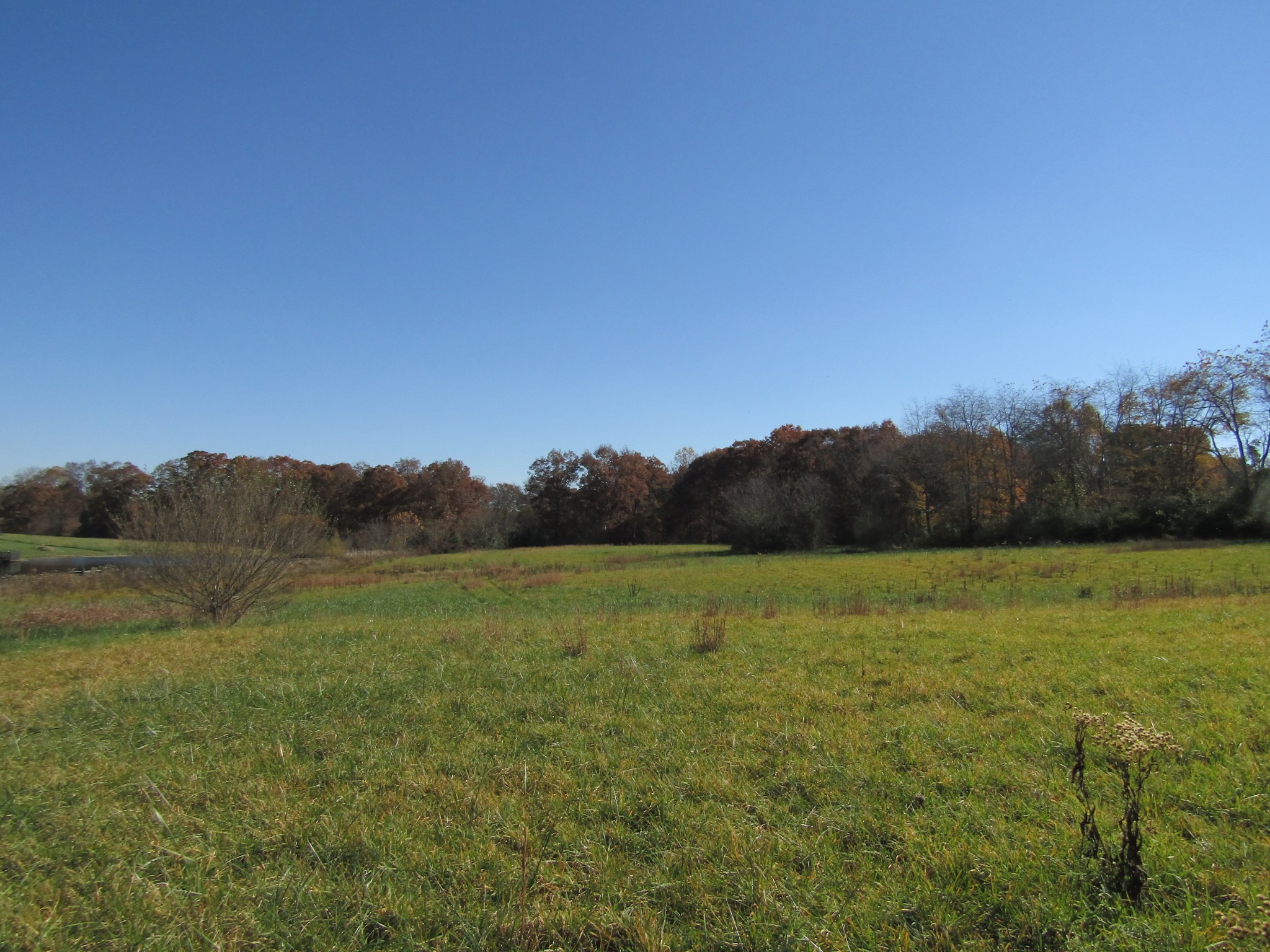 0 Hack Beaty Road Grimsley, TN 38565 - Photo 10 of 31 Gallery Image 10