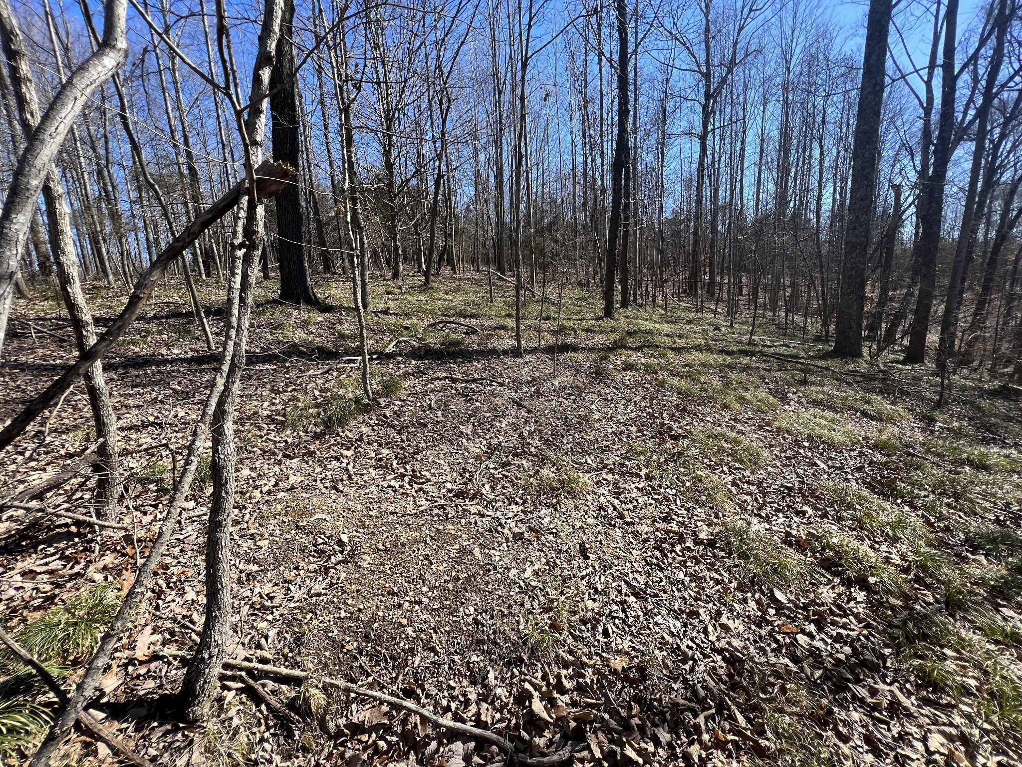 0 Kirby Hill Road Ashland City, TN 37015 - Photo 11 of 16 a view of outdoor space with green space
