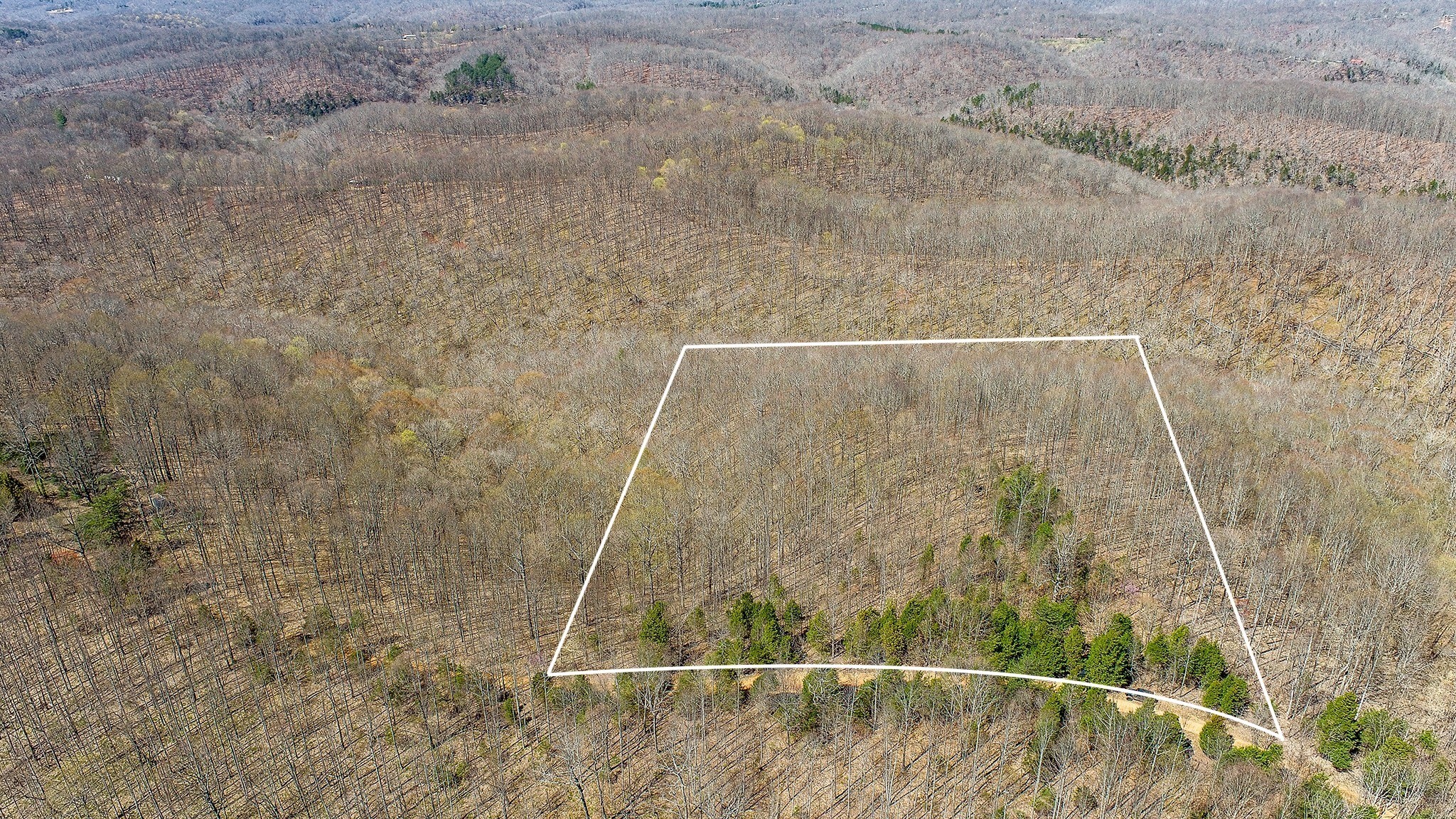 0 Kirby Hill Road Ashland City, TN 37015 - Photo 14 of 16 a bathroom with a shower