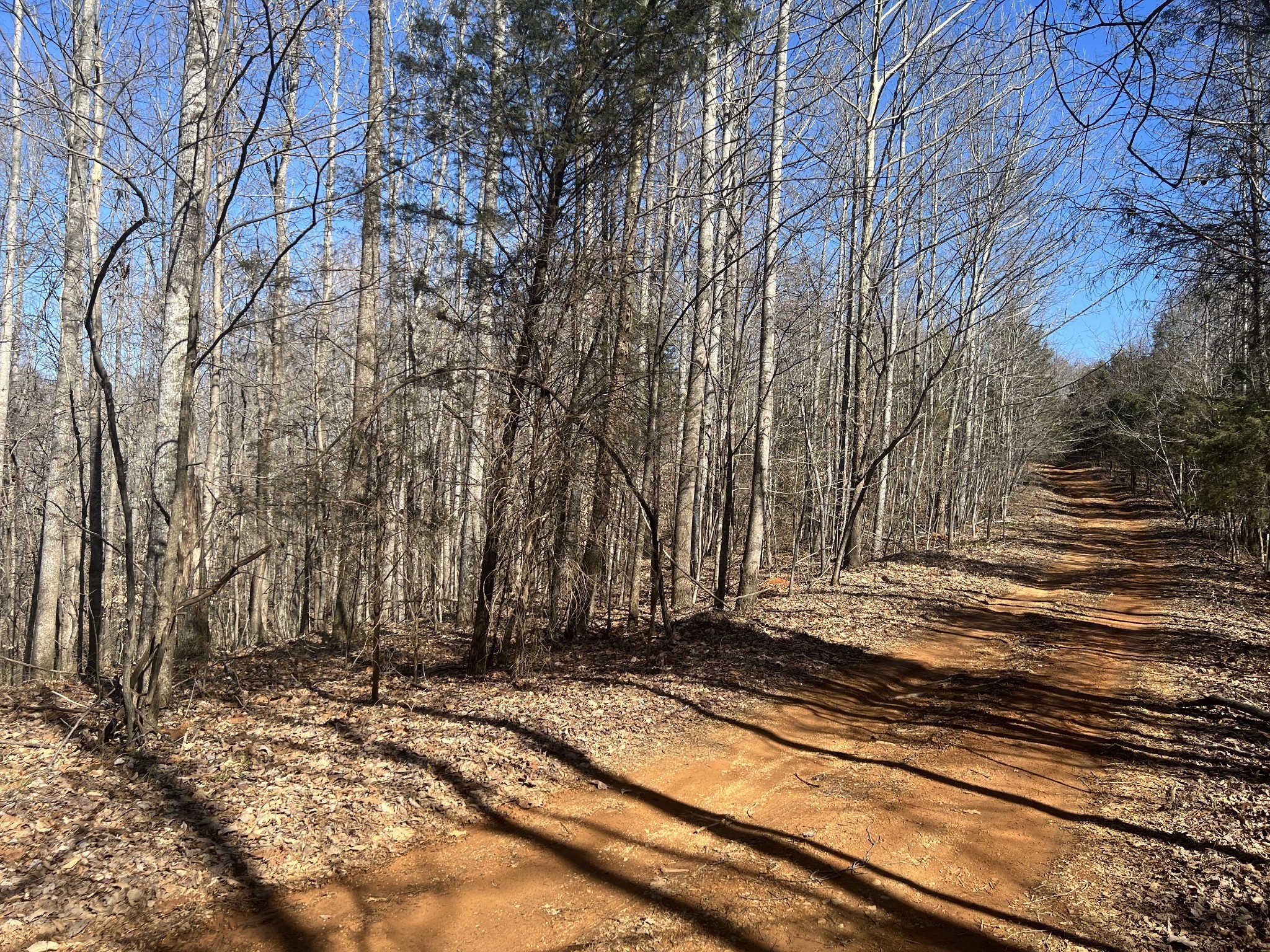0 Kirby Hill Road Ashland City, TN 37015 - Photo 2 of 16 a view of a backyard with wooden fence