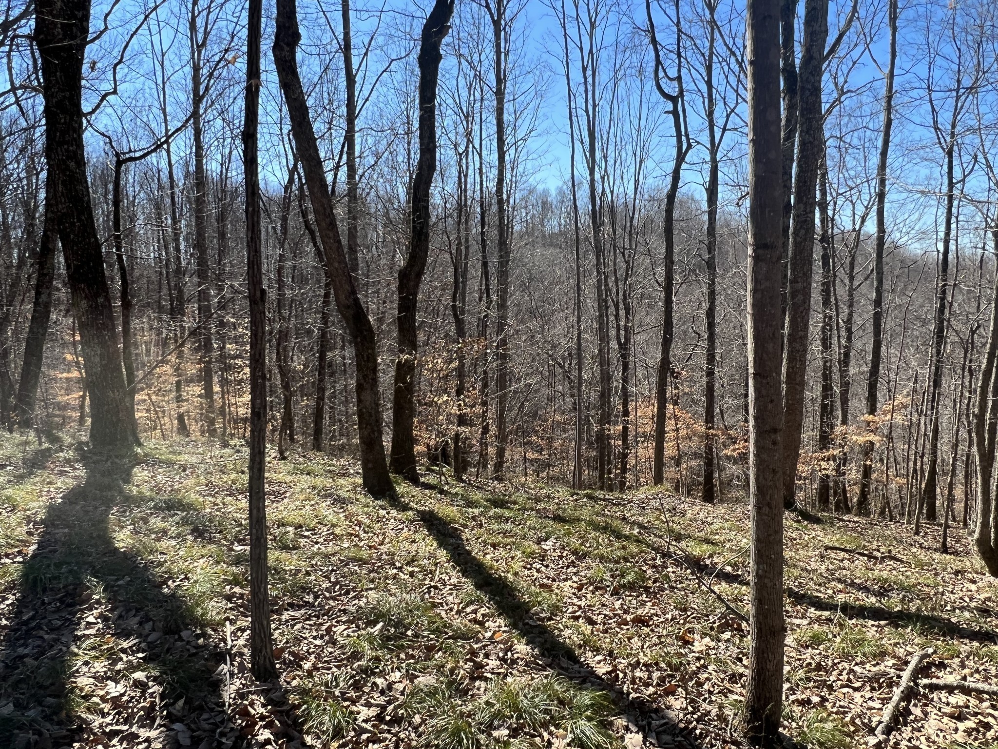 0 Kirby Hill Road Ashland City, TN 37015 - Photo 8 of 16 a view of a backyard of the house