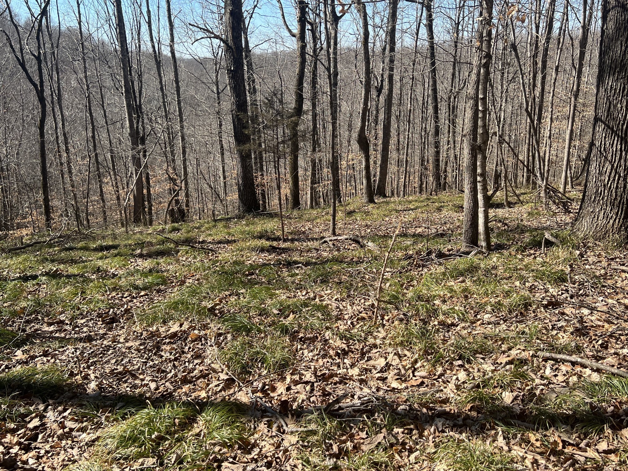 0 Kirby Hill Road Ashland City, TN 37015 - Photo 9 of 16 a view of a backyard of the house