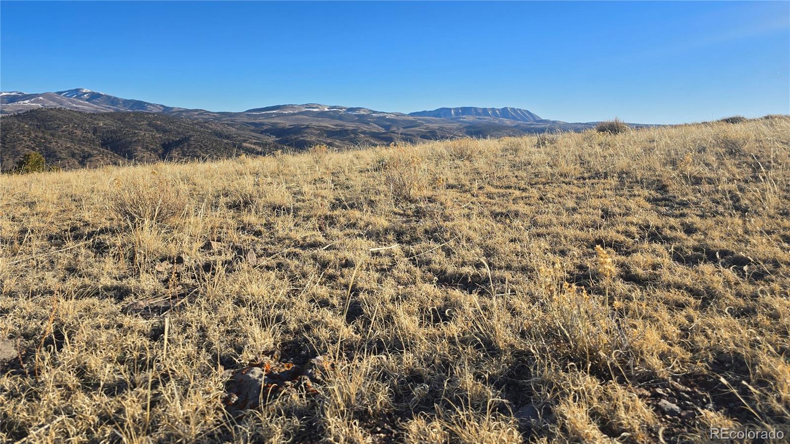 Lot 4902 Jaffe Road Fort Garland, CO 81133 - Photo 10 of 25 Gallery Image 10