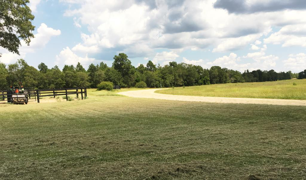 405 Cadle Crossing Road Windsor, SC 29856 - Photo 40 of 43