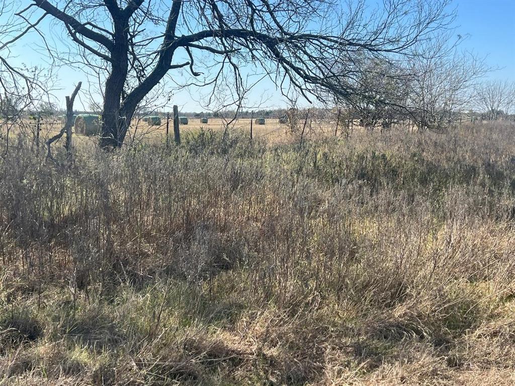 0 Lcr 454 Groesbeck, TX 76642 - Photo 14 of 26 a view of a yard