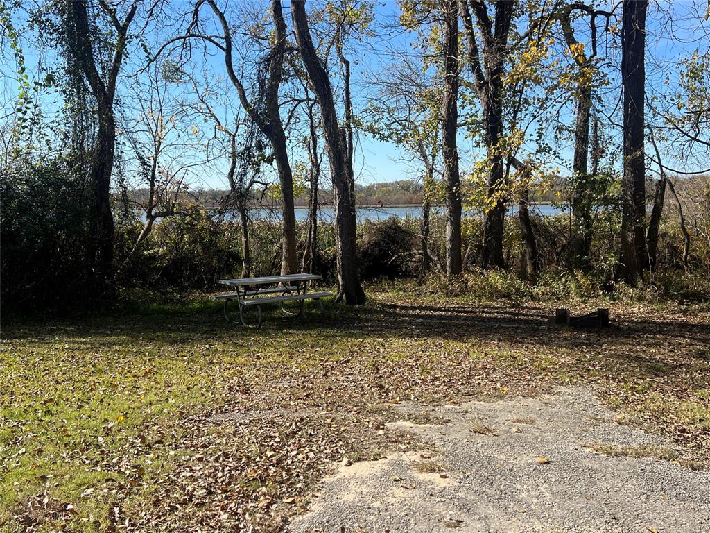 0 Lcr 454 Groesbeck, TX 76642 - Photo 25 of 26 a view of park with large trees