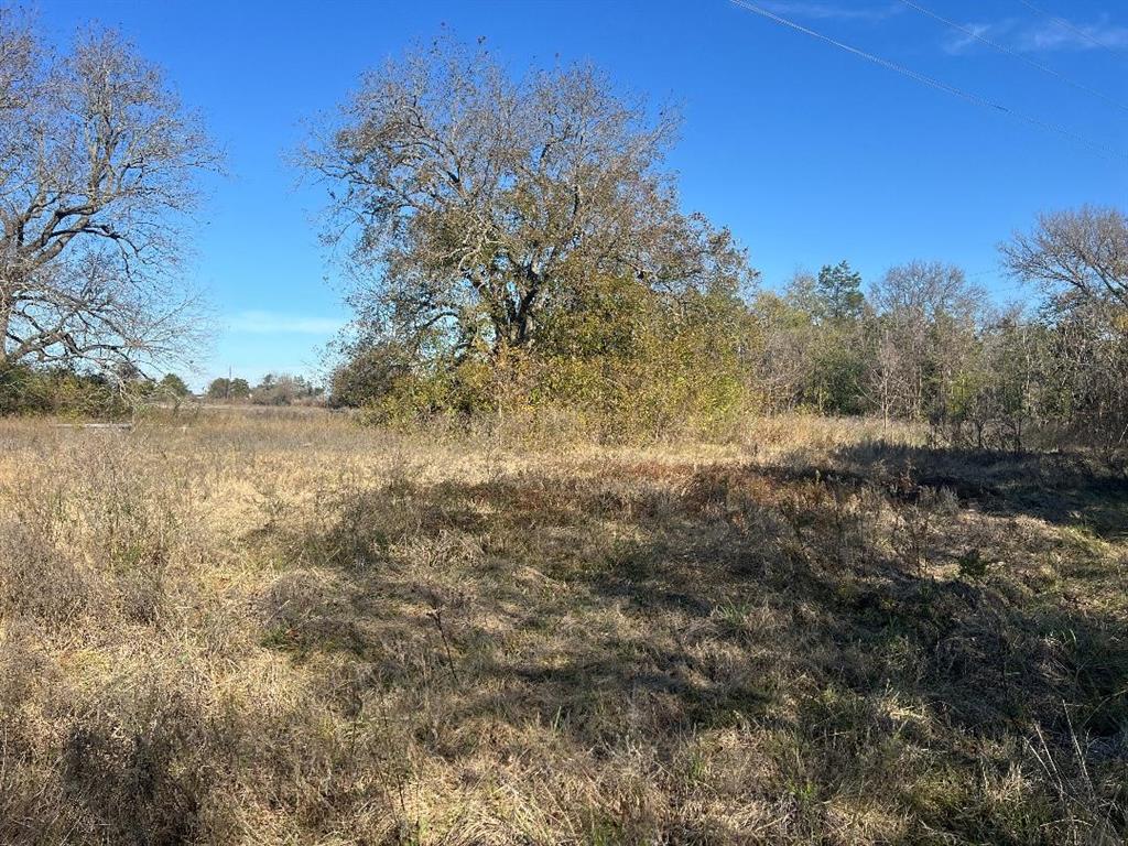 0 Lcr 454 Groesbeck, TX 76642 - Photo 8 of 26 a view of lake with green space