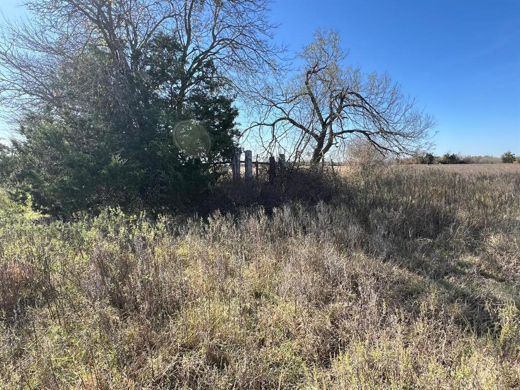 0 Lcr 454 Groesbeck, TX 76642 - Photo 9 of 26 a view of a yard