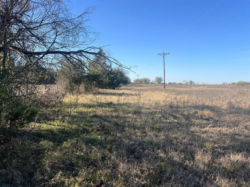 0 Lcr 454 Groesbeck, TX 76642 - Photo 10 of 26 a view of a yard with a tree