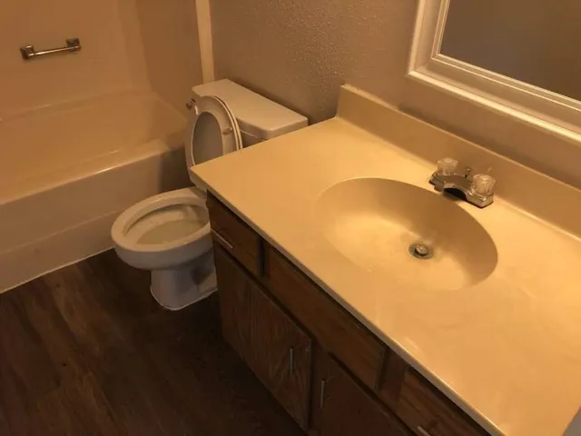 a bathroom with a sink and toilet