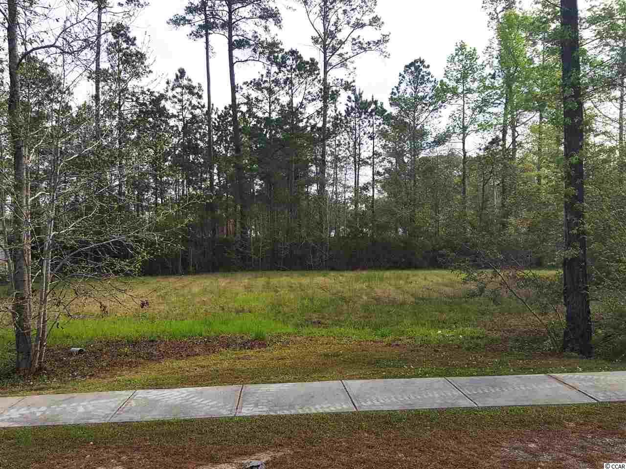 Lot 528 Chamberlin Road Myrtle Beach, SC 29588 - Photo 1 of 28 Gallery Image 1