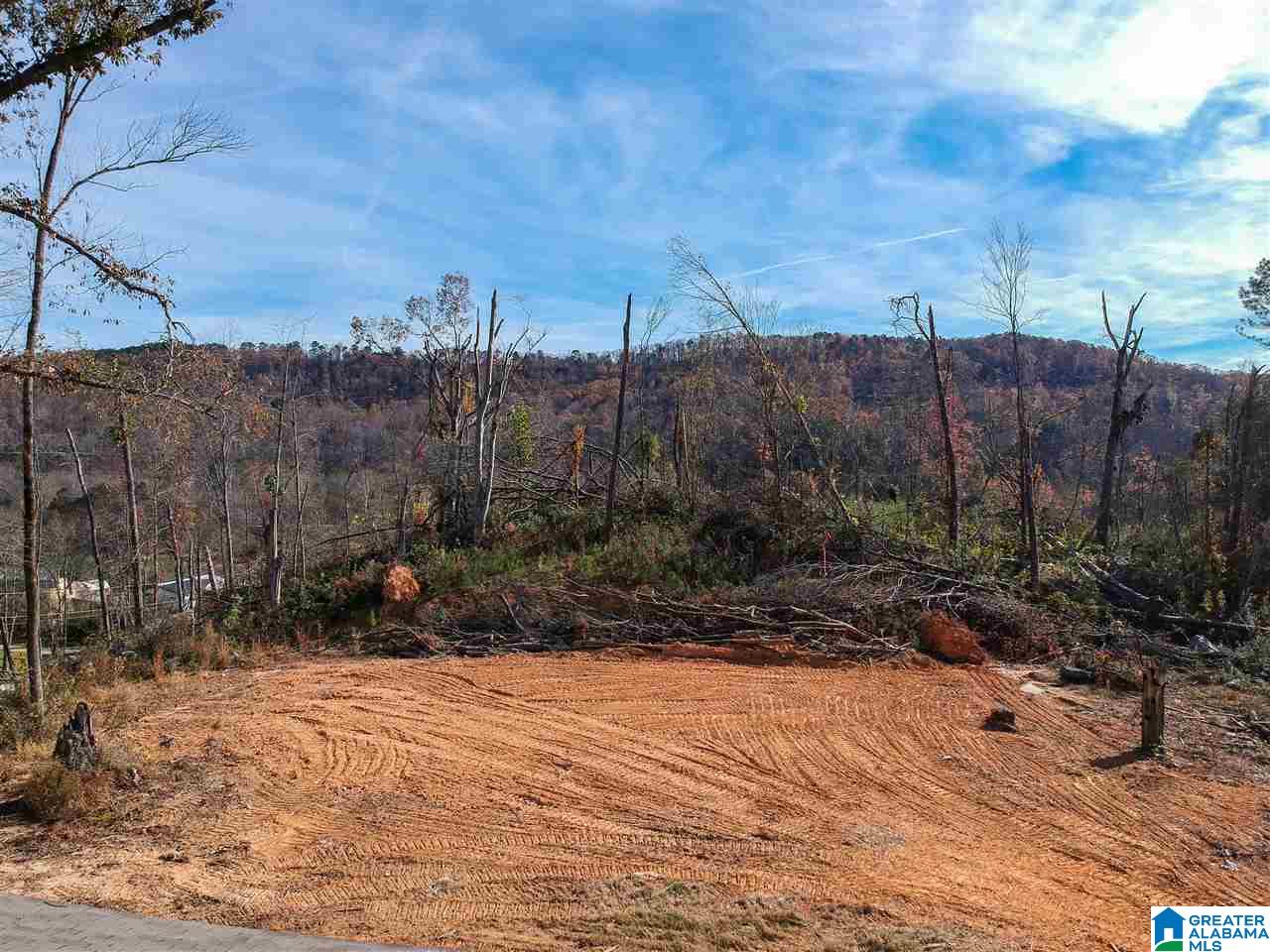 1603 Crudup Road Attalla, AL 35954 - Photo 27 of 37