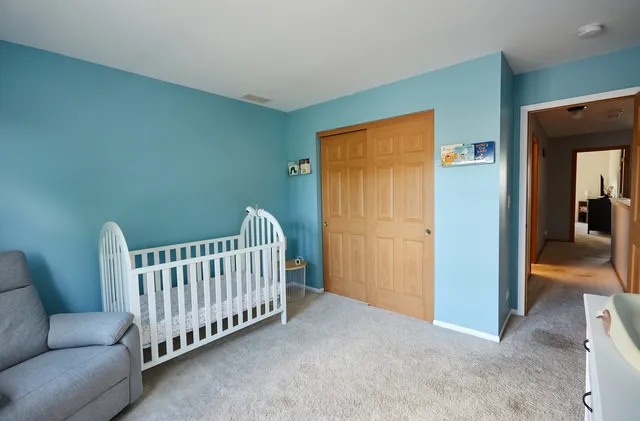 $355,000 | 529 Horizon Drive, Bartlett, IL 60103