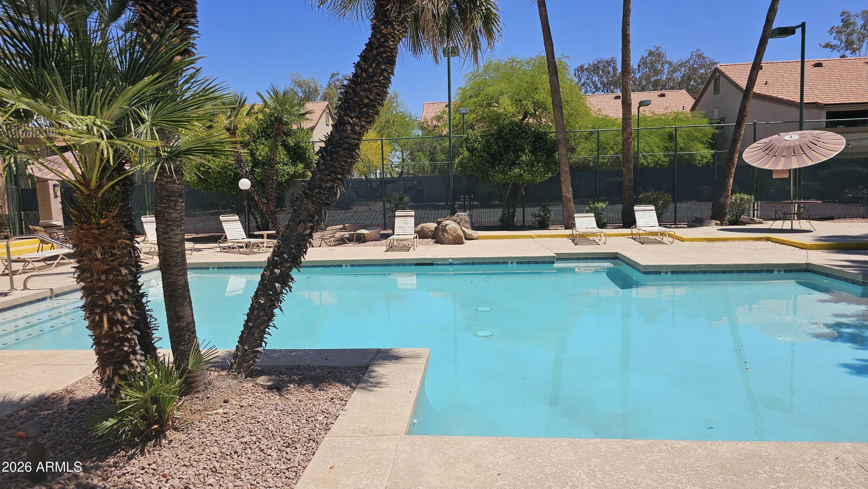 1287 North Alma School Road, Unit 282 Chandler, AZ 85224 - Photo 16 of 18 a view of a backyard with swimming pool