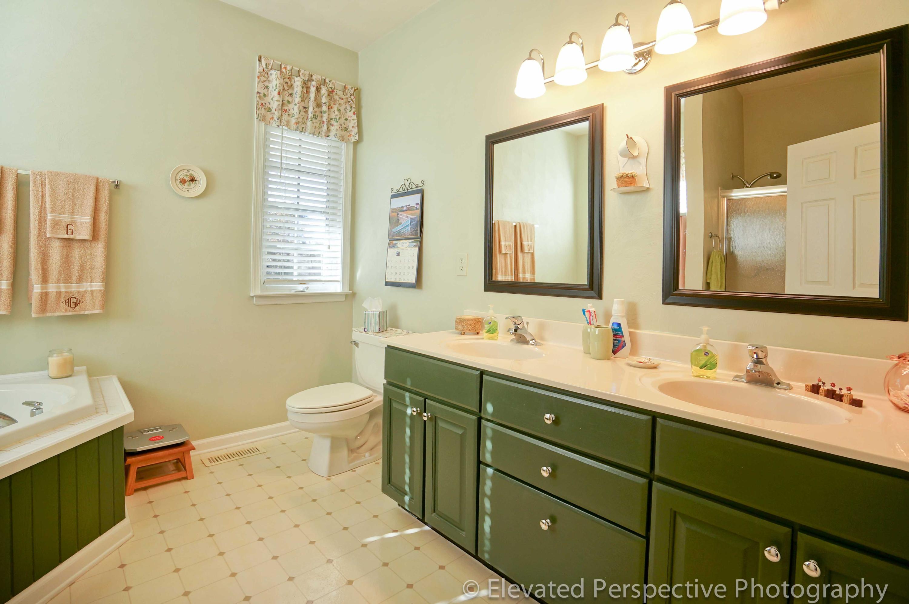 6248 Horseshoe Bend Road Goodview, VA 24095 - Photo 26 of 32 Master Bath