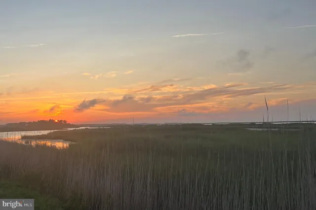 a view of lake with green space