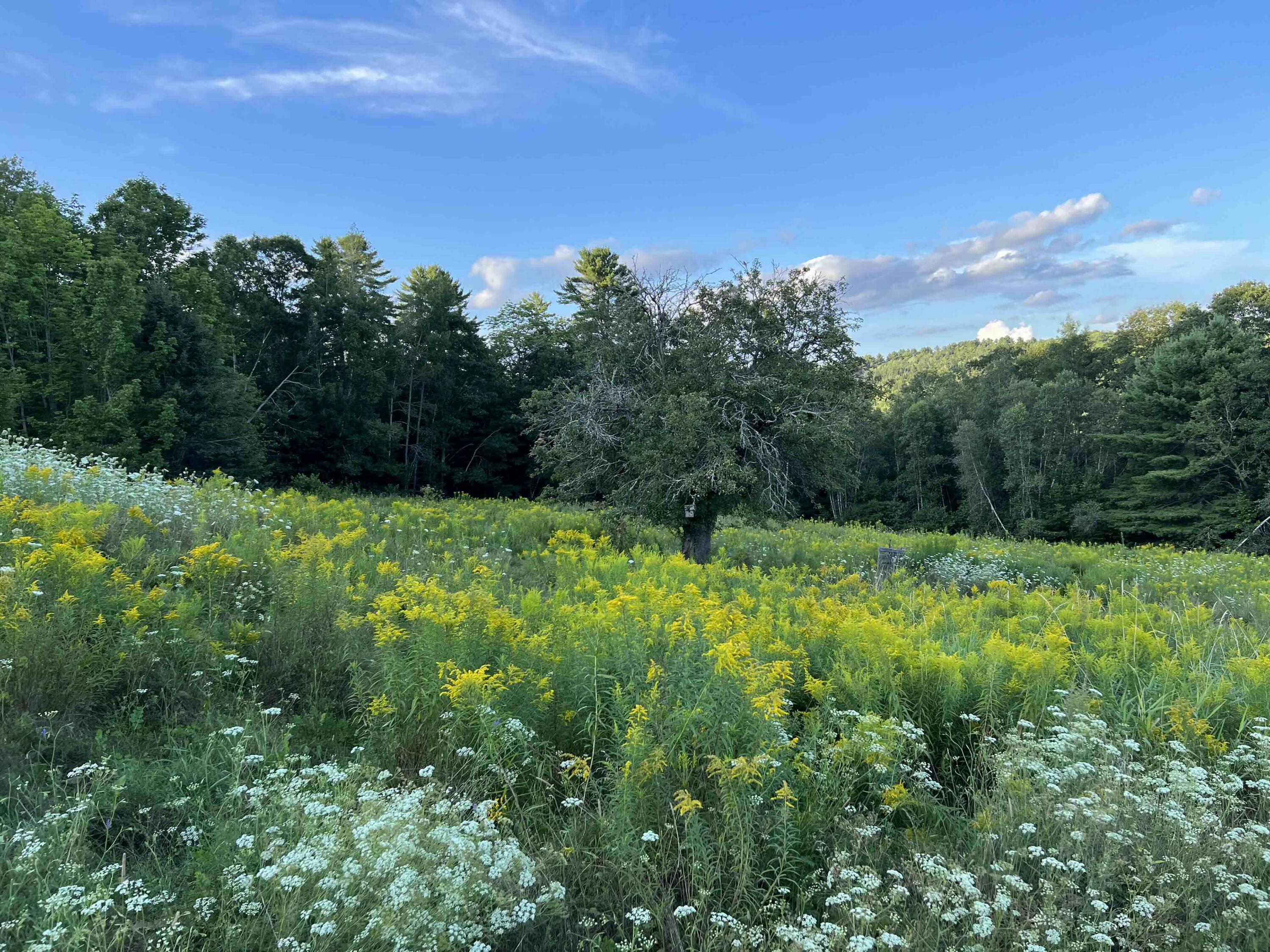 496 Airline Road Amherst, ME 04605 - Photo 19 of 23 Outside (1)