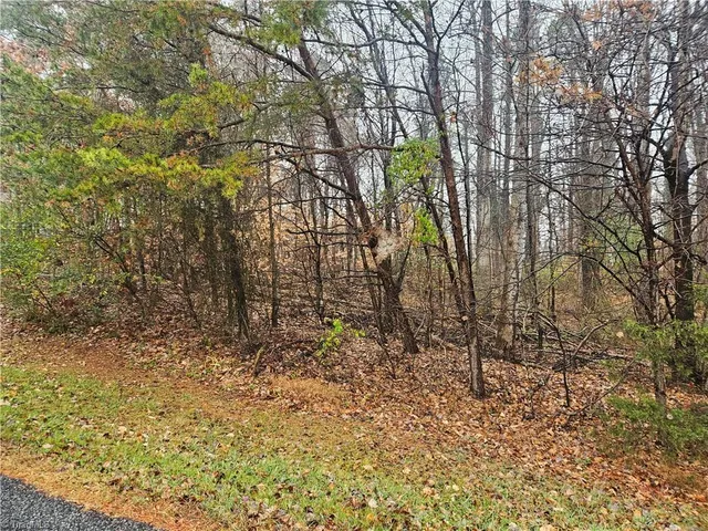 $35,000 | 2145 Jefferson Oaks Drive, Rural Hall, NC 27045