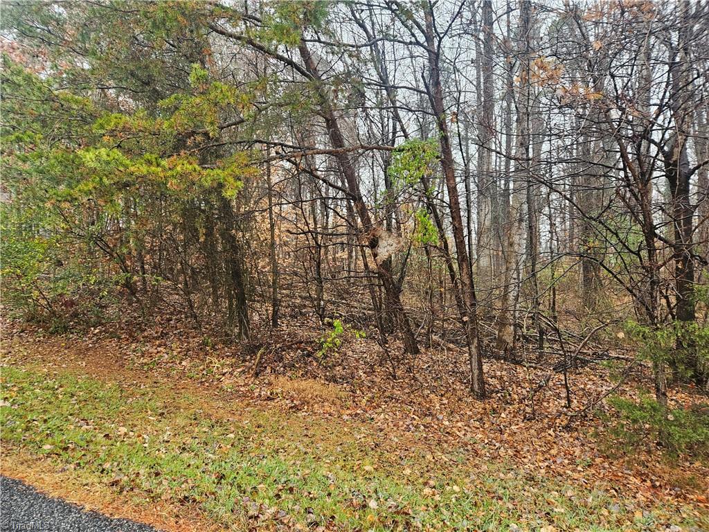 2145 Jefferson Oaks Drive Rural Hall, NC 27045 - Photo 2 of 2