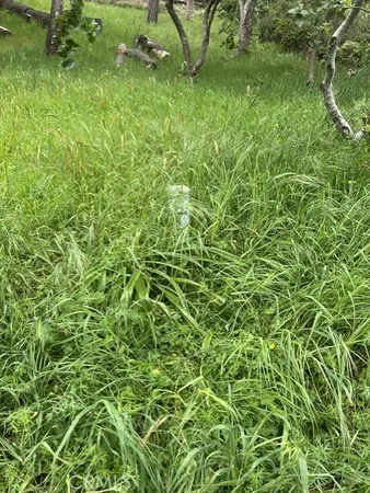 $75,000 | 0 Mills Cambria Ca, Cambria, CA 93428