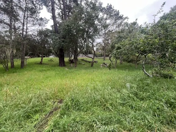 $75,000 | 0 Mills Cambria Ca, Cambria, CA 93428