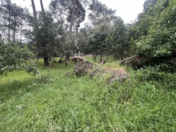 $75,000 | 0 Mills Cambria Ca, Cambria, CA 93428