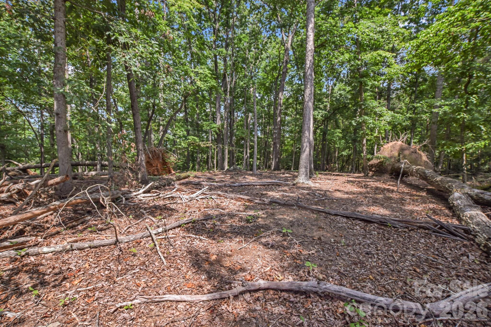 99999 Lail Road Rutherfordton, NC 28139 - Photo 9 of 15 Gallery Image 9
