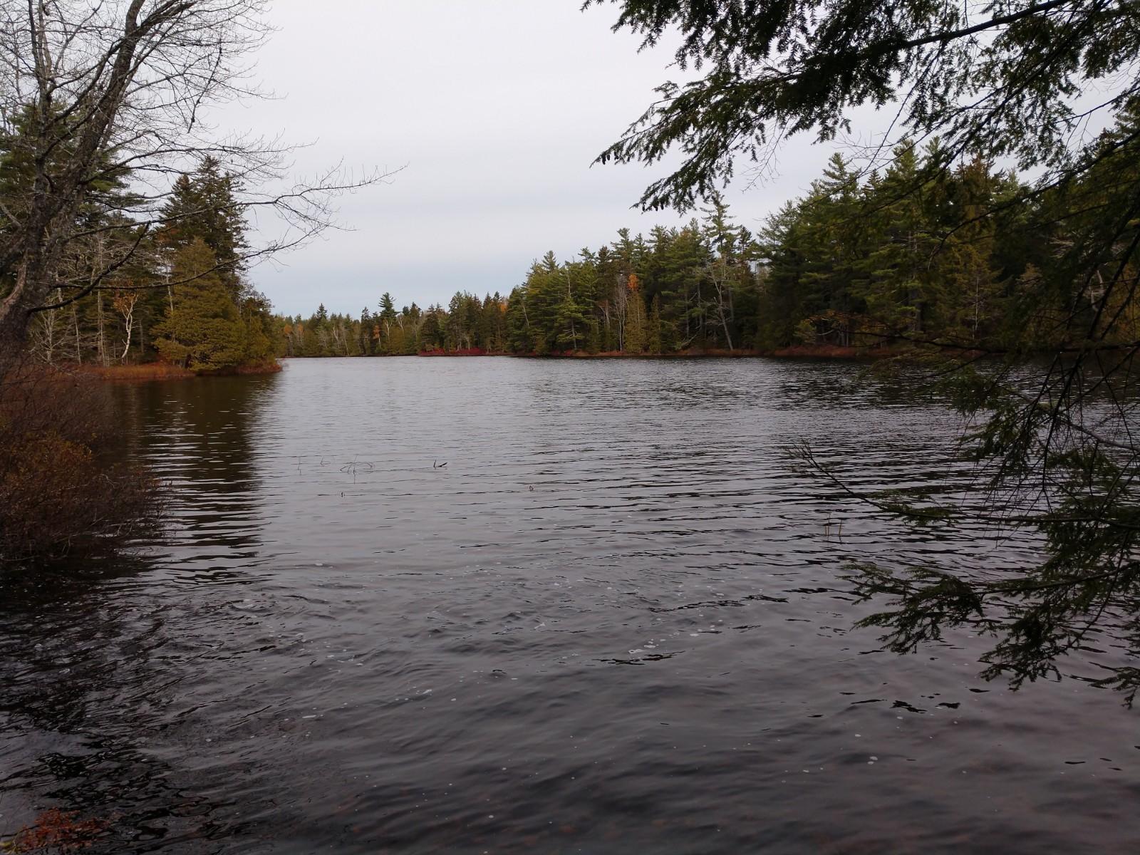 Off-645 Off-645 Howard Lake Road Robbinston, ME 04671 - Photo 7 of 20 IMG_20191025_100858223