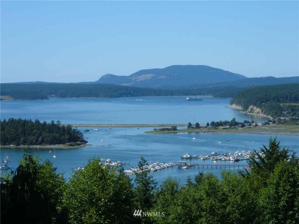 751 Whiskey Hill Road Lopez Island, WA 98261 - Photo 1 of 13