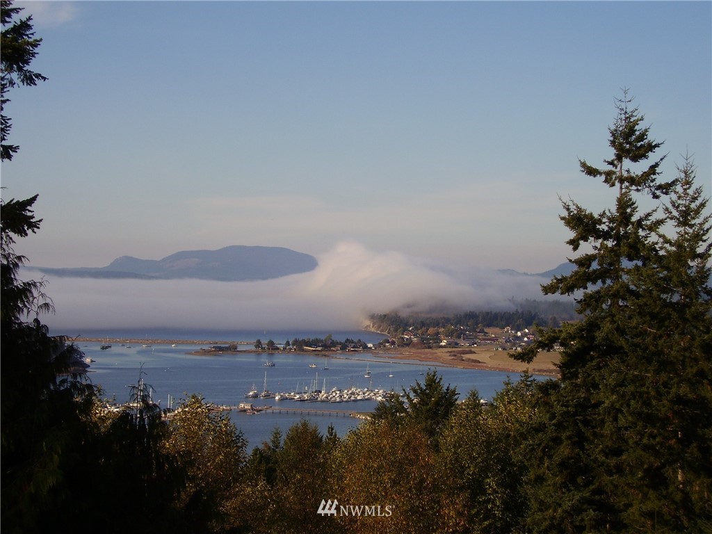 751 Whiskey Hill Road Lopez Island, WA 98261 - Photo 2 of 13