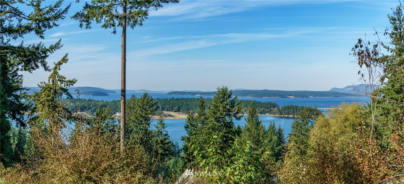751 Whiskey Hill Road Lopez Island, WA 98261 - Photo 12 of 13