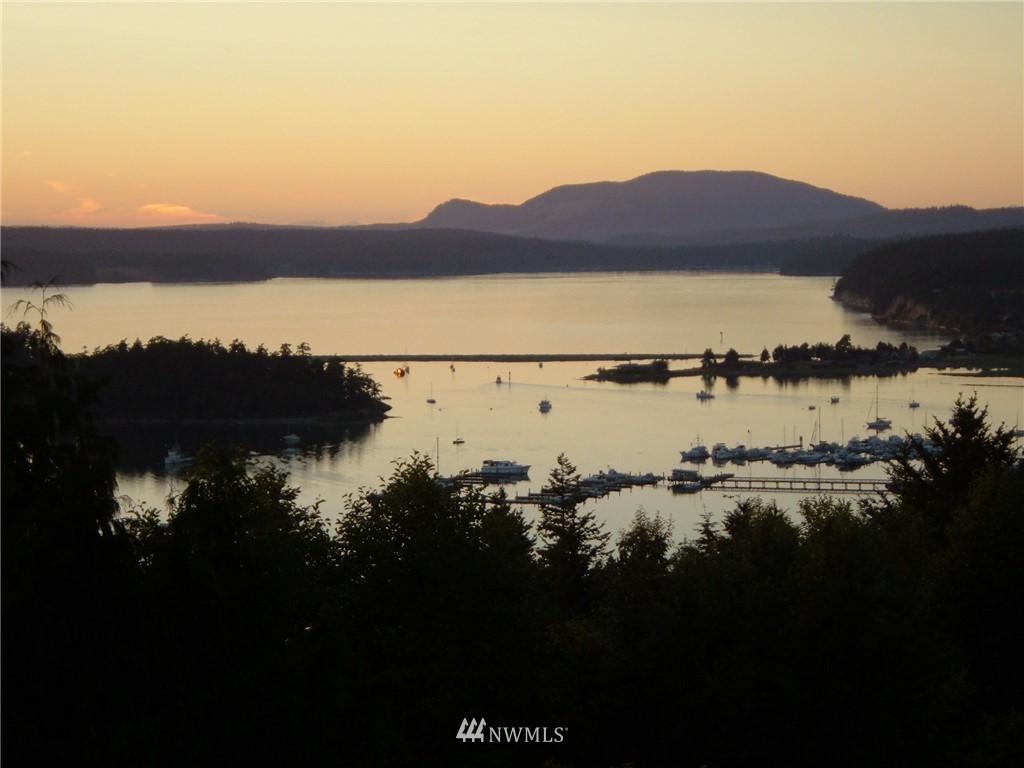 751 Whiskey Hill Road Lopez Island, WA 98261 - Photo 5 of 13