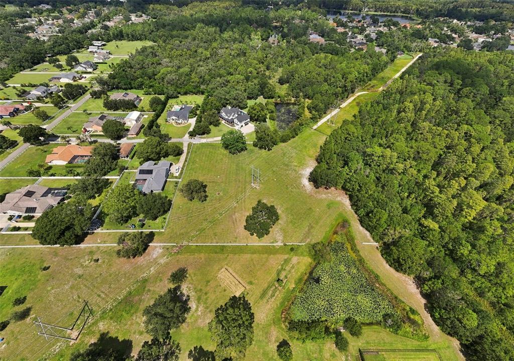7702 Rosa Maria Lane Odessa, FL 33556 - Photo 17 of 17 Gallery Image 17