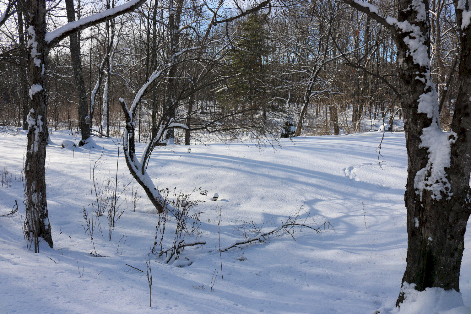 167 Lower Mills Road Madison, ME 04950 - Photo 50 of 56 IMG_3013_result