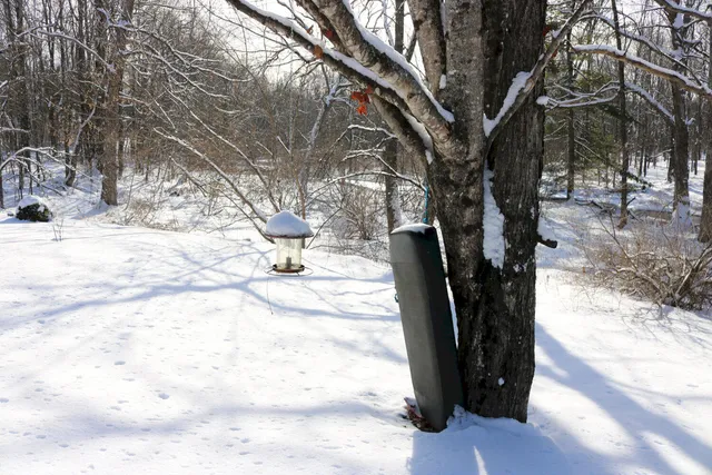 $320,000 | 167 Lower Mills Road, Madison, ME 04950